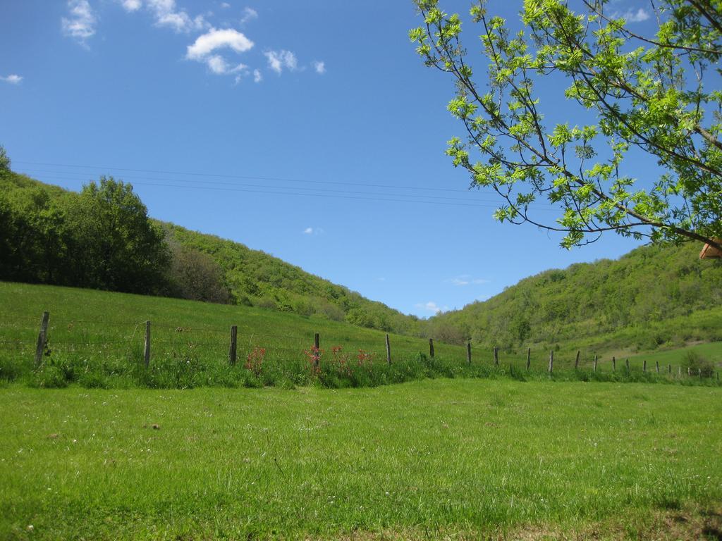 Bed and Breakfast Domaine La Rose Caylus Exterior foto